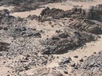 The excavation area at the Kerma habitation site US037