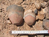 Sherds of two Kerma beakers from spoil heaps at US307