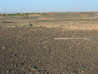 Site MOG064 before excavation