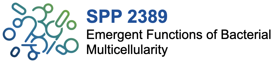 SPP 2389 – Emergent functions of bacterial multicellularity