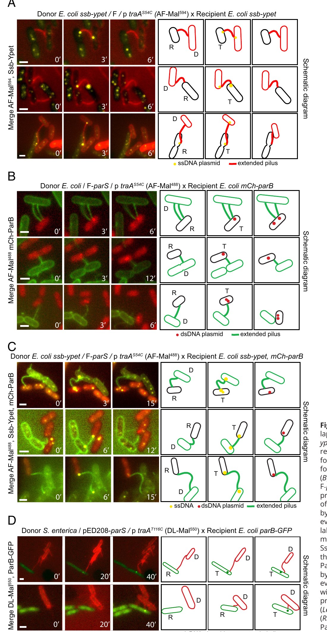 Fig. 3 of Goldlust et al. 2024, PNAS