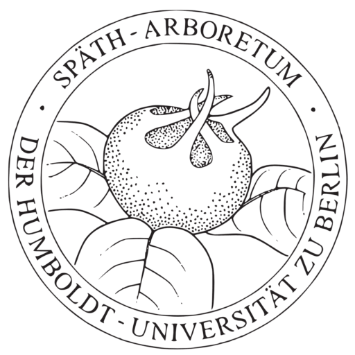 Inside Späth-Arboretum