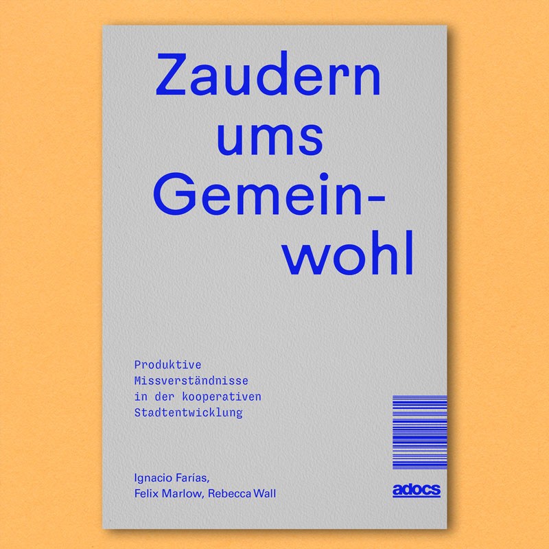 Coverbild der Publikation Zaudern ums Gemeinwohl