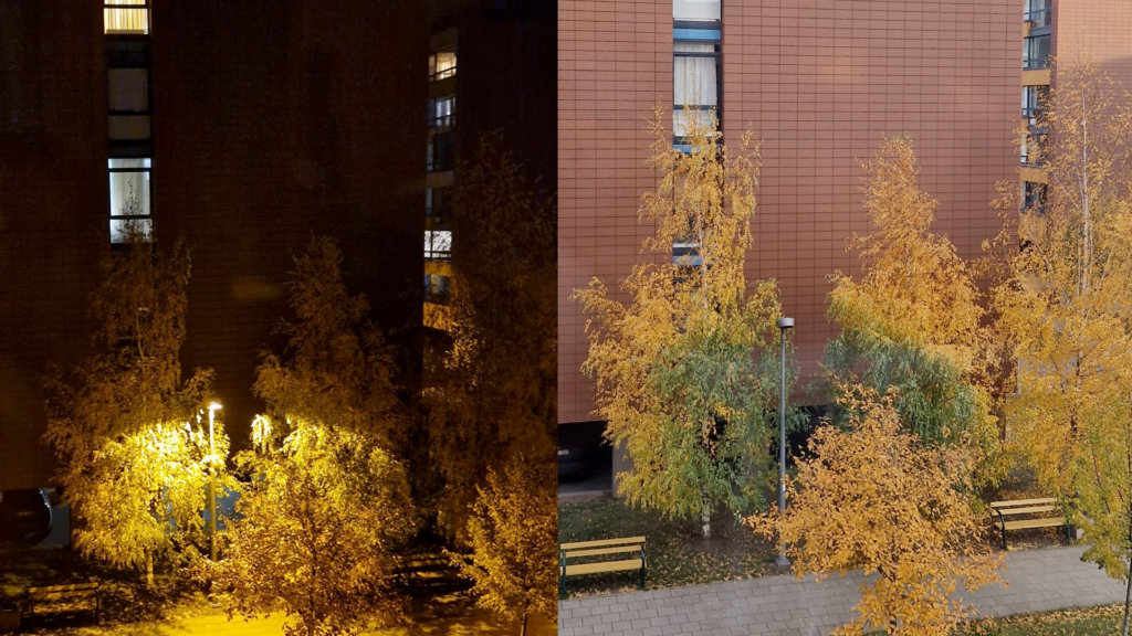 Trees, artificial light at night, ALAN